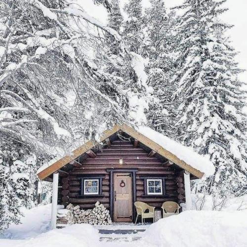 265054638_2068620533293661_5867743687141423178_n