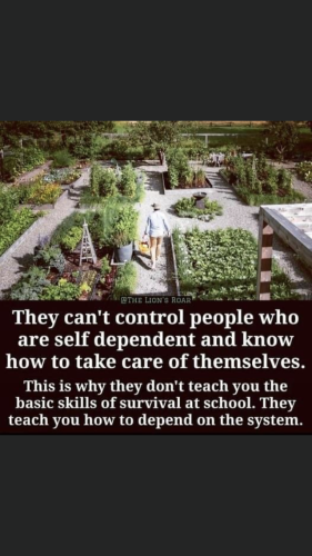 10:58:41 GMT-0500 (EST).image