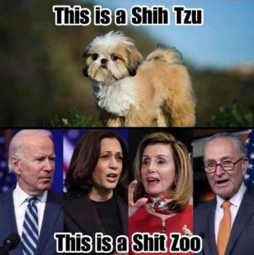 this is a shit zoo