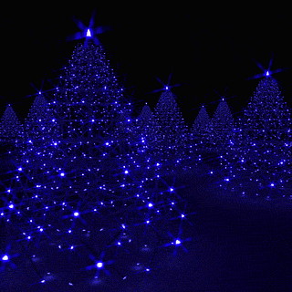 ! Swirling xmas tree lights