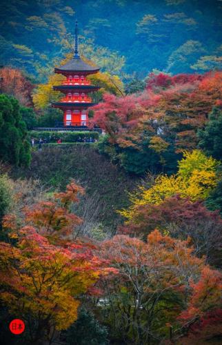 264242001_6540532866018377_6270287548086874406_n