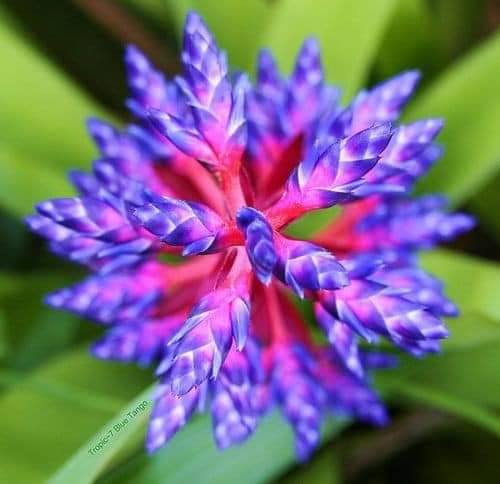 13:14:31 GMT-0600 (CST)