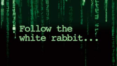 FollowTheWhiteRabbit
