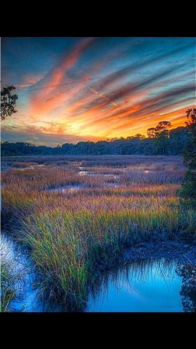 Screenshot_20211118-180707_Wimkin Uncensored