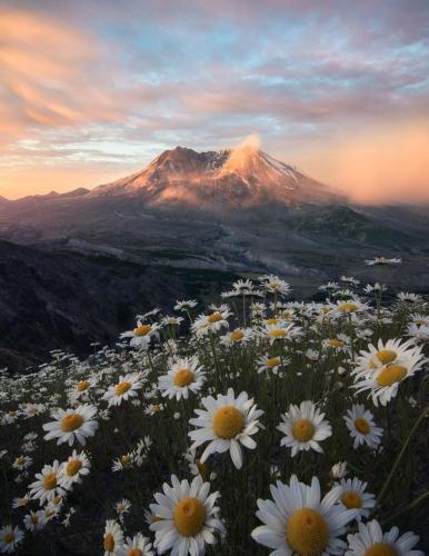 Screenshot_20211213_061402