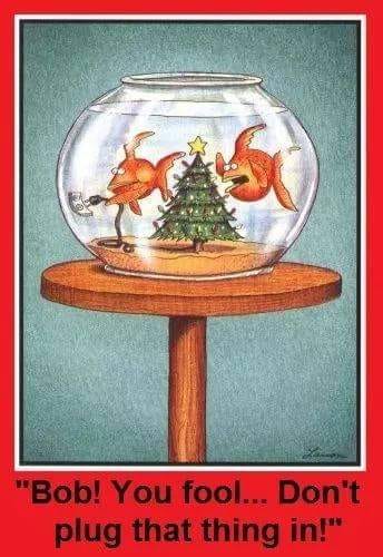 269905062_5055238074508949_7573424910134989779_n