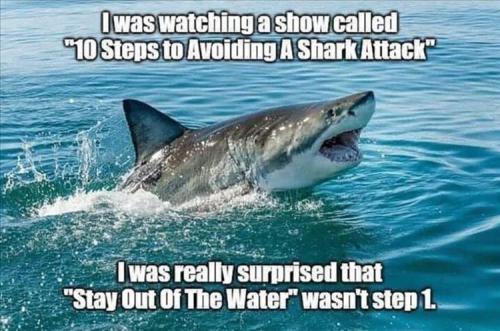 you-see-sharks