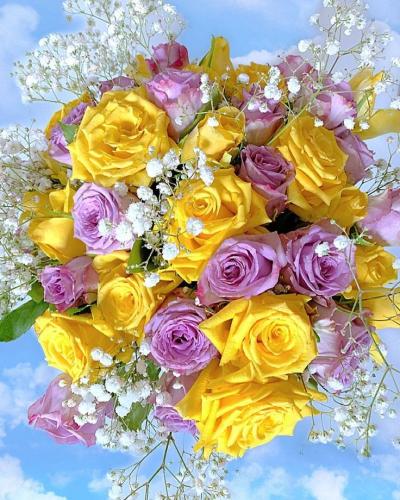 10:11:44 GMT-0600 (CST)