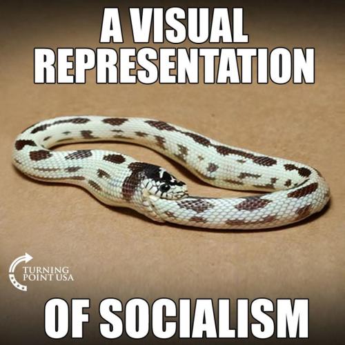 socialism f