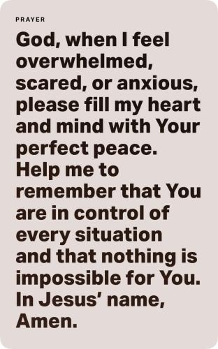 18:41:32 GMT-0600 (CST)