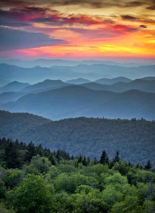 Screenshot_20211215-193017_Brave