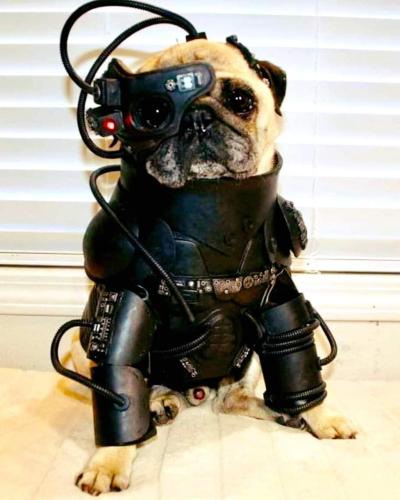 FB_IMG_1639634249925