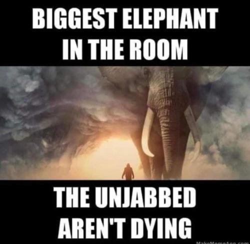 8EAED001-B3A9-4DA3-9554-0EB4BBD20326