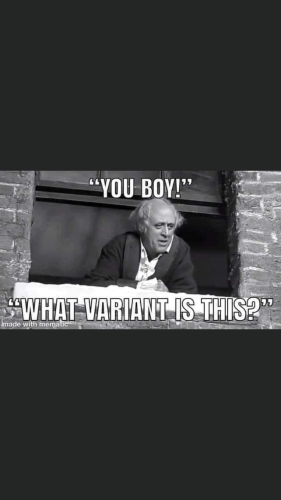 11:03:13 GMT-0500 (EST).image