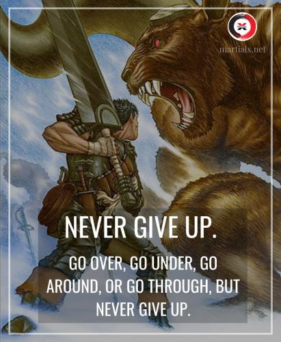 never give up f