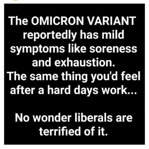 photo_2021-12-02_23-29-11