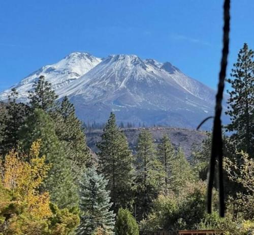 received_1005221823389717