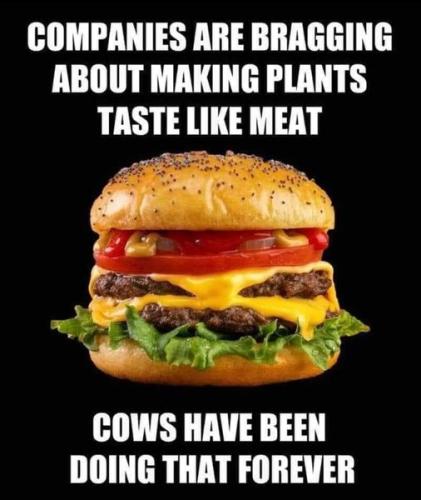 tastes like meat