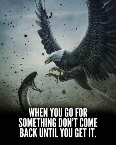 FB_IMG_1638321305581