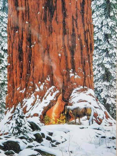 269945417_119789913866940_4067011970417921816_n