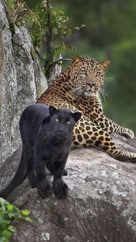 268149193_474886260681719_1155632588356509972_n