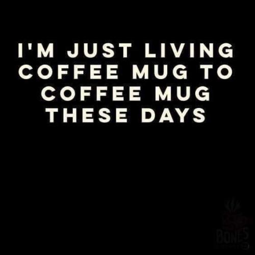 259774322_2138894966270791_6509305336268447418_n