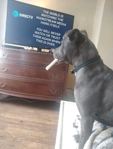 12:44:45 GMT-0500 (EST)