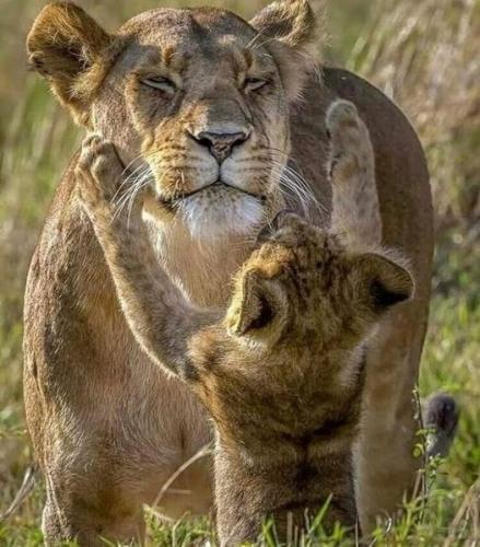 264498682_469676357869376_6654945502347016654_n