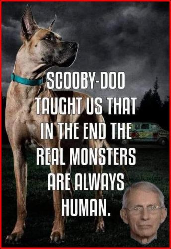 FB_IMG_1638580892613