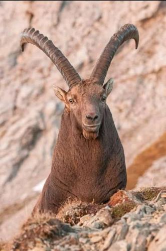 263620251_1041994276645891_2747388227176425016_n