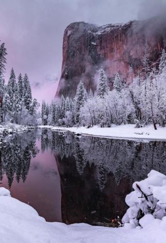 tumblr_d94de8c356202ece9ea3afbcfd05f116_a664de67_540