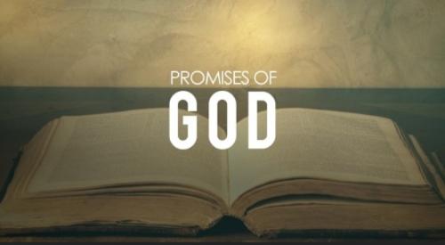 Screenshot_20211205-062341_DuckDuckGo