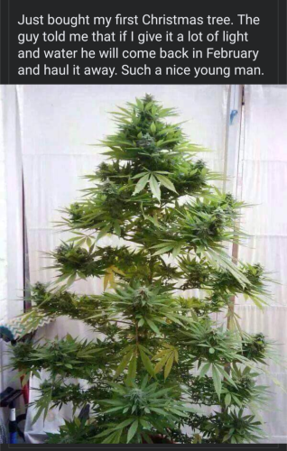 08:33:29 GMT-0600 (CST)