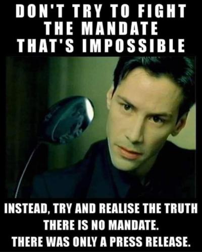 FB_IMG_1640040859534