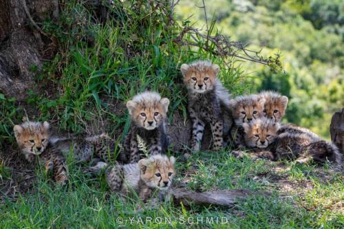 262694265_3049128682001702_2158491616768373029_n