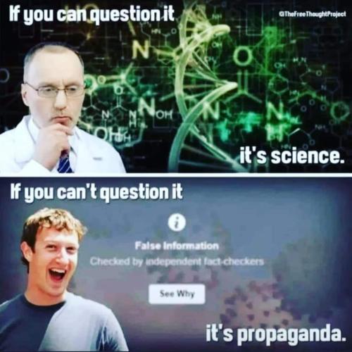 FB_IMG_1638686531992