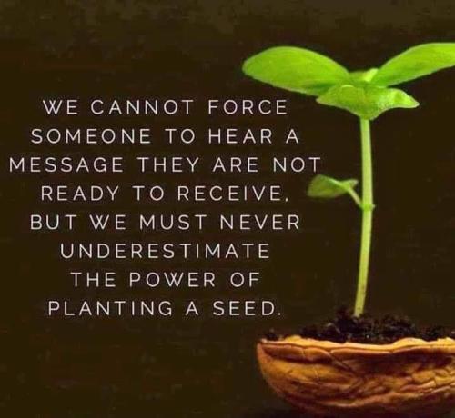 plant the seeds