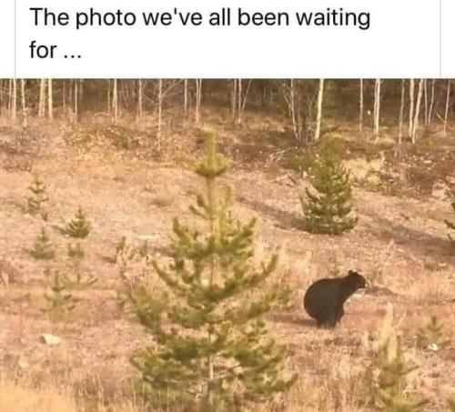 267299312_1055859835247938_5571735295552640012_n