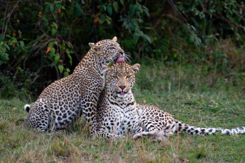 271132447_445780126996911_6844649092981392701_n