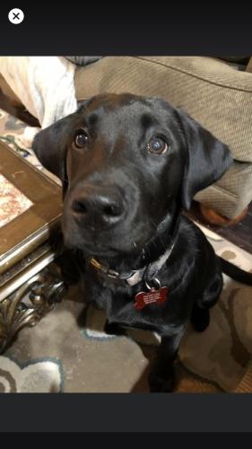 22:17:12 GMT-0700 (MST).image