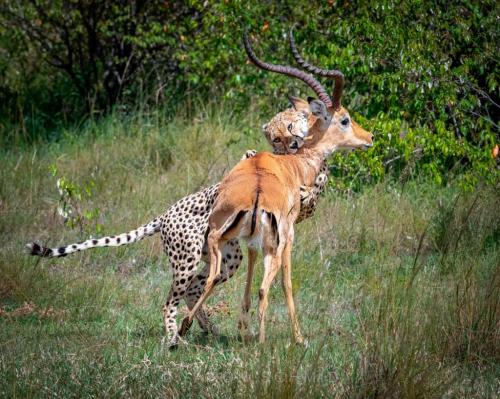 269681867_439806580927599_372788429039909701_n