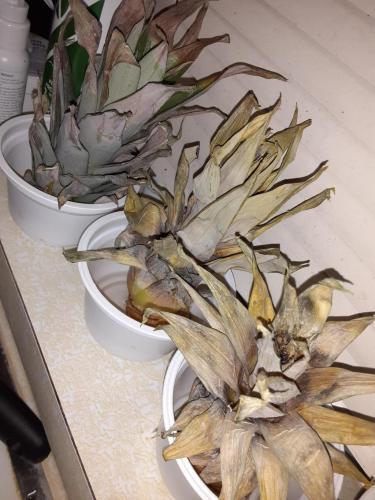 14:41:21 GMT-0700 (MST)