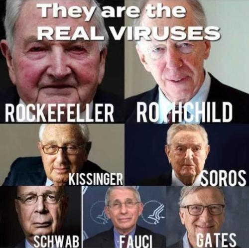 the real virus