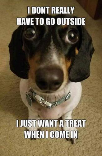 FB_IMG_1640540284479