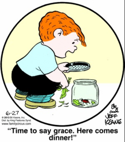 sketch-1639531586747