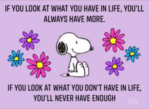 FB_IMG_1639372179295