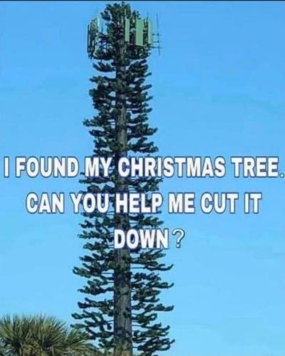 photo_2021-12-23_21-47-27