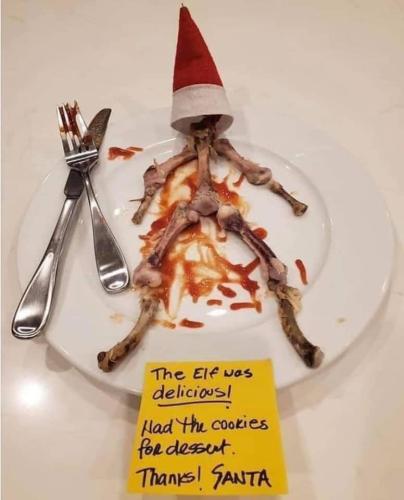 elf on the shelf