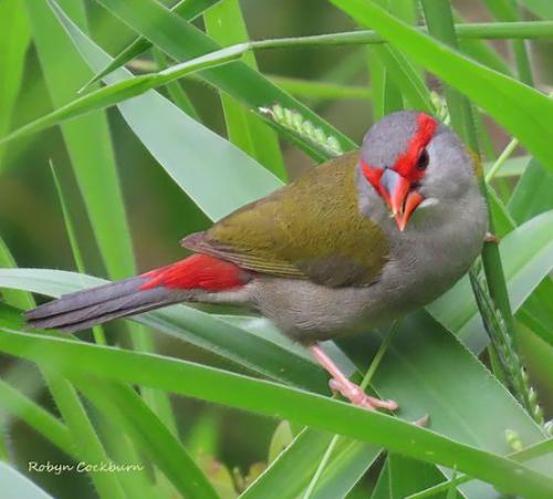 262811825_10159023559677862_6922312516871599431_n