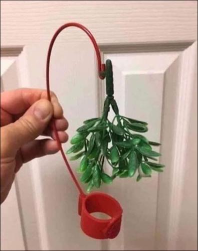 mistletoe01